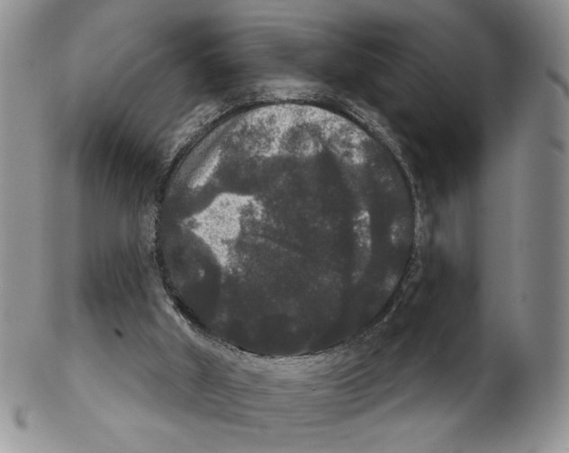 X0000102240010200808221341