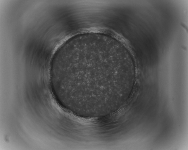 X0000102240012200808221340