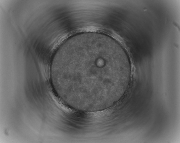 X0000102240013200808221340