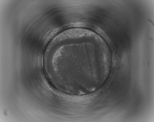 X0000102240014200808221340