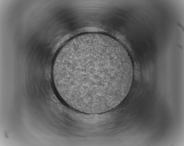 X0000102240015200808221340