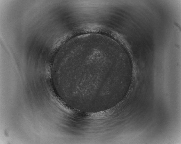 X0000102240017200808221340