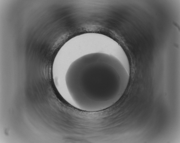 X0000102240019200808221340