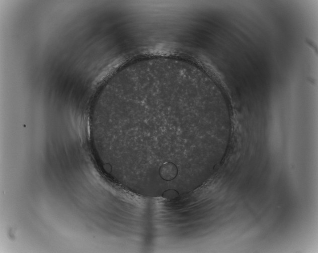 X0000102240020200808221340