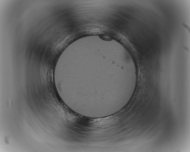 X0000102240021200808221340