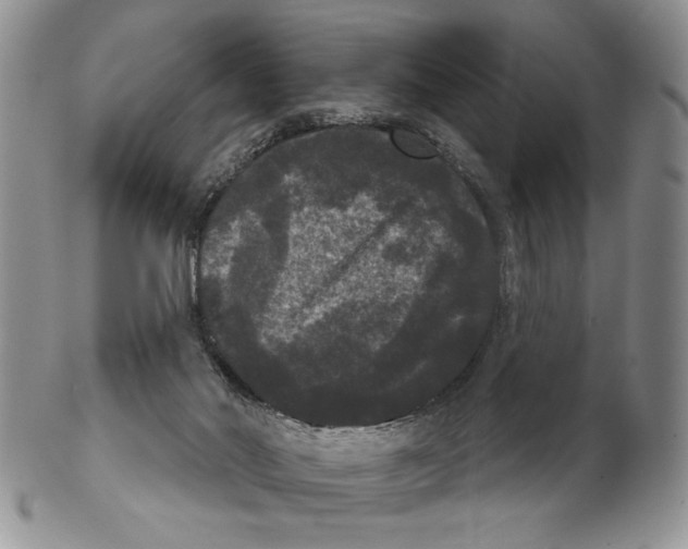 X0000102240022200808221340