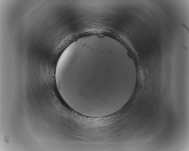 X0000102240023200808221340