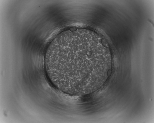 X0000102240024200808221340