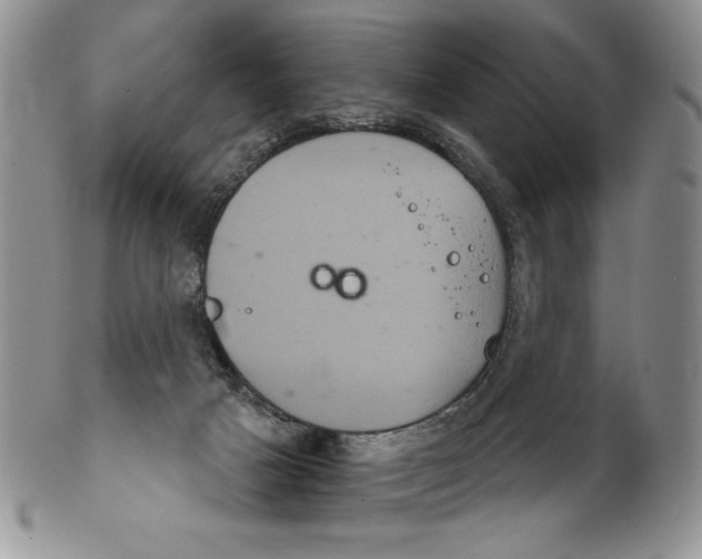 X0000102240025200808221340