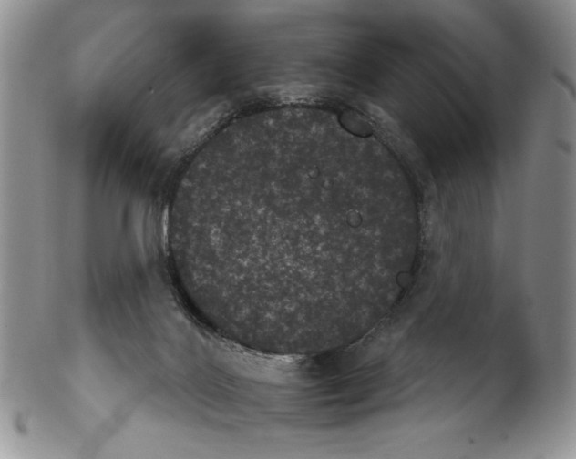 X0000102240028200808221340