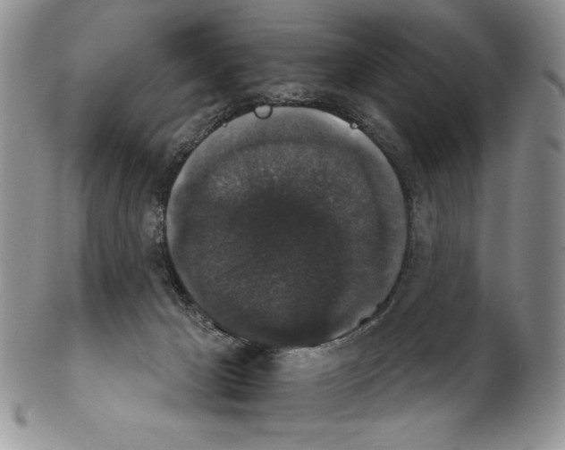 X0000102240029200808221340