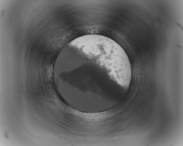 X0000102240030200808221340