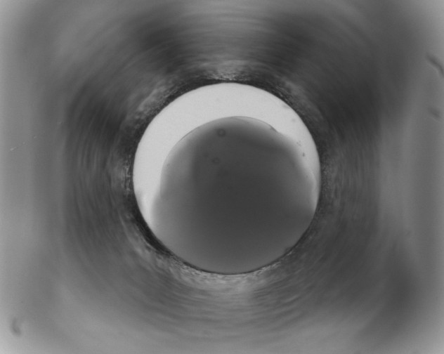 X0000102240031200808221340