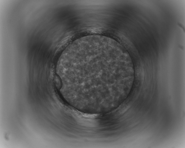 X0000102240032200808221340