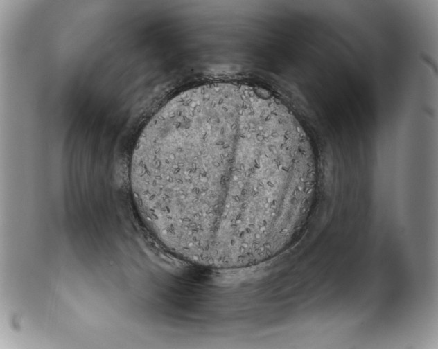 X0000102240033200808221340