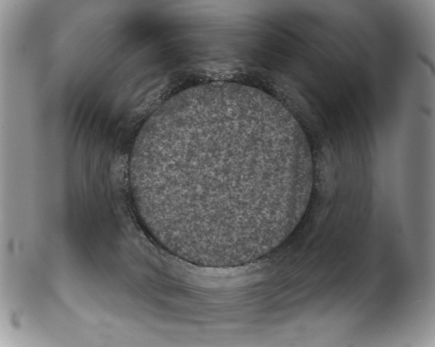 X0000102240034200808221340