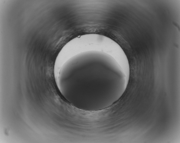 X0000102240035200808221340