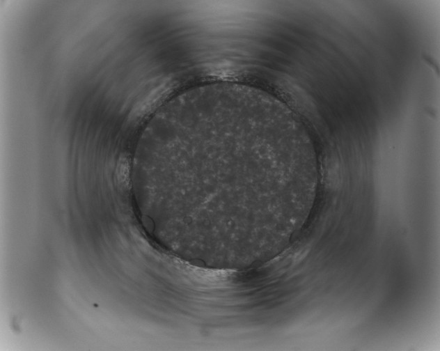 X0000102240036200808221340