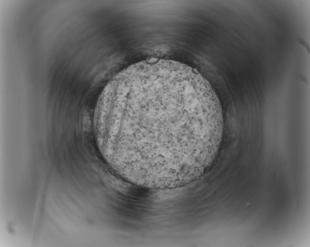 X0000102240037200808221340