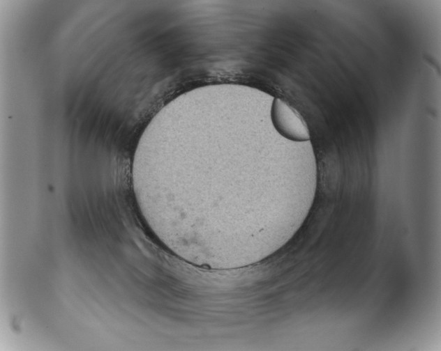 X0000102240038200808221340