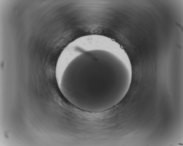 X0000102240039200808221340