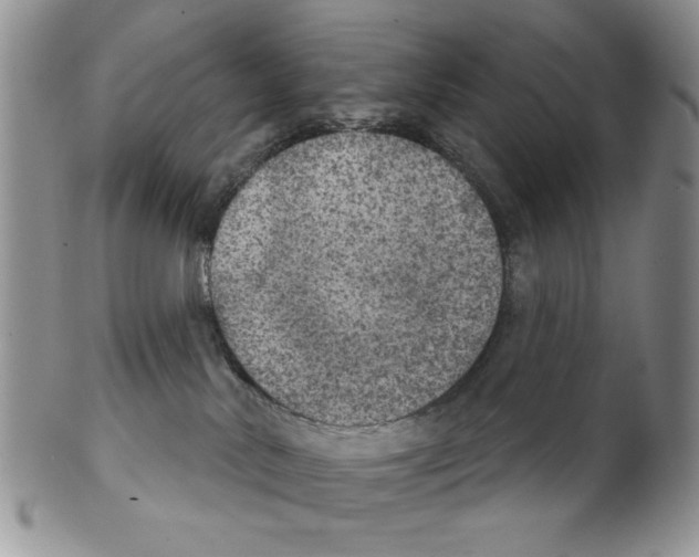 X0000102240042200808221340