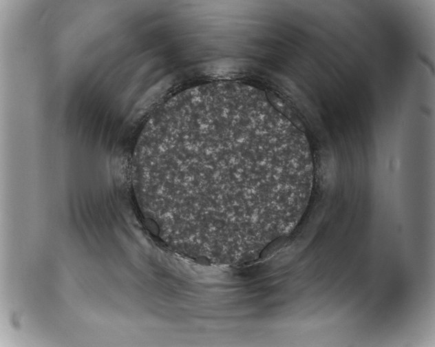 X0000102240044200808221340