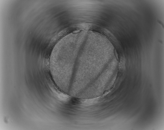 X0000102240045200808221340