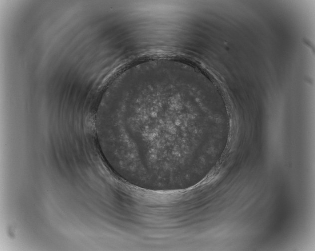 X0000102240048200808221340