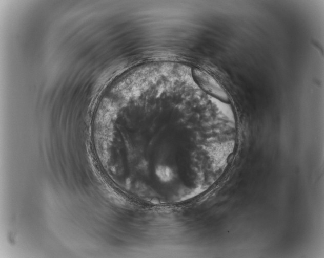 X0000102240049200808221339