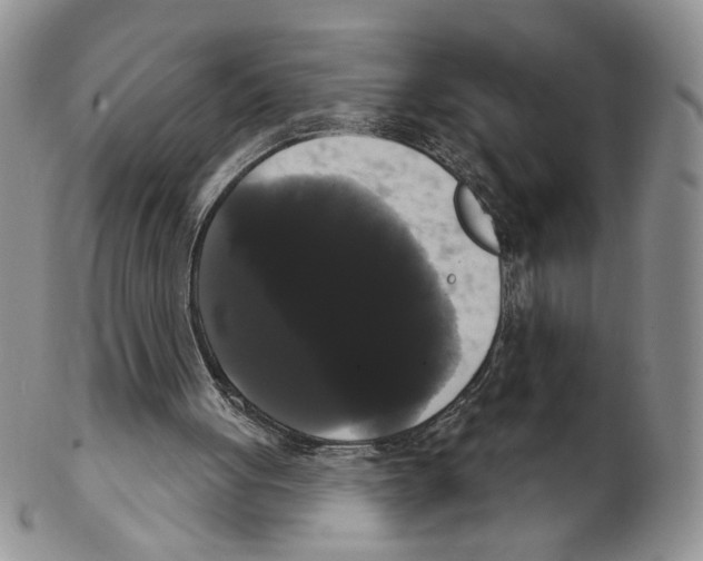 X0000102240051200808221339