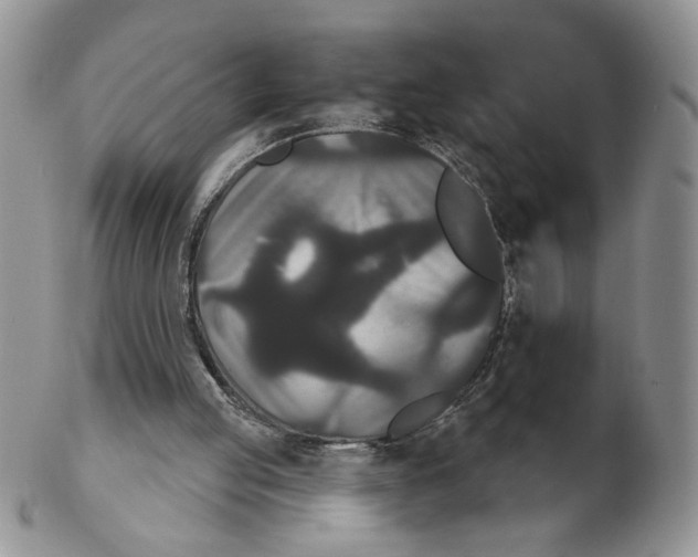 X0000102240053200808221339