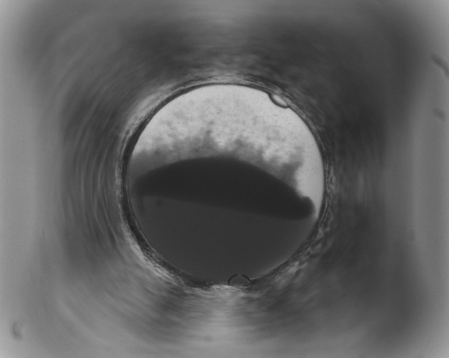 X0000102240055200808221339