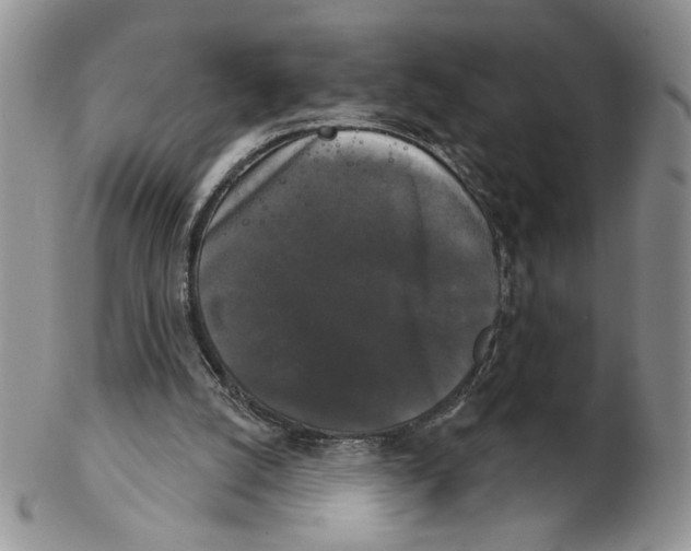 X0000102240056200808221339