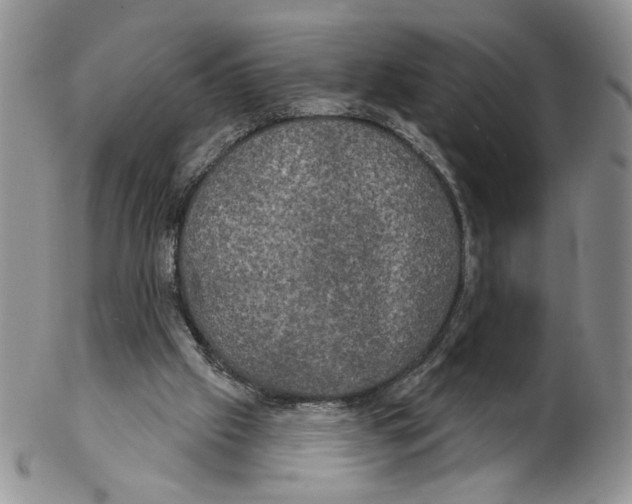 X0000102240057200808221339