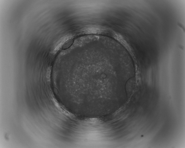 X0000102240058200808221339