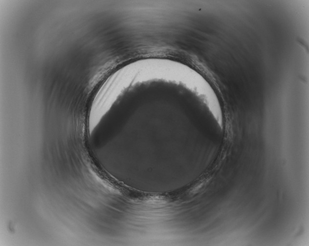 X0000102240059200808221339