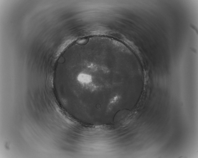 X0000102240060200808221339