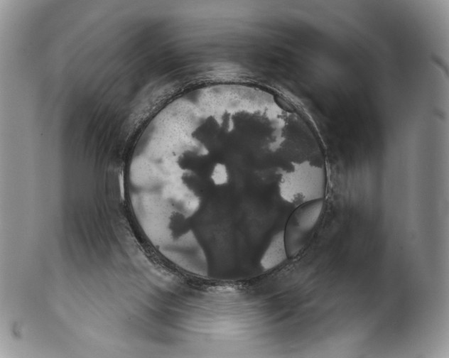 X0000102240061200808221339