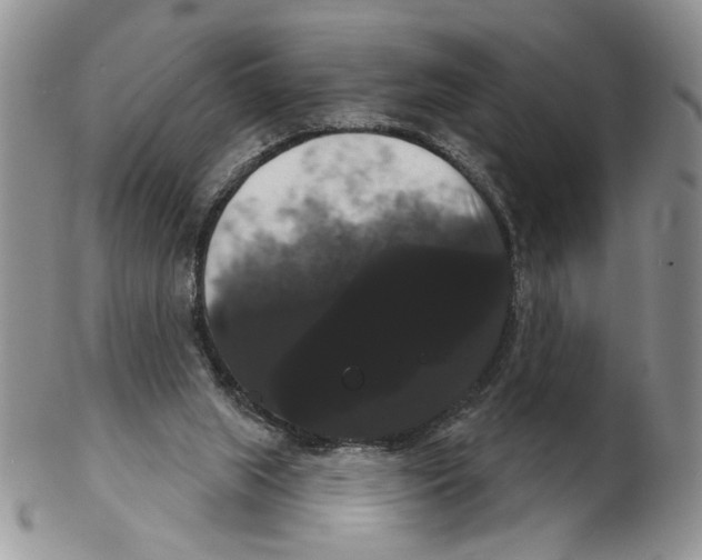 X0000102240063200808221340