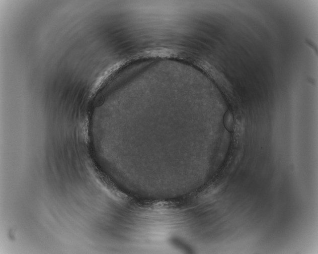 X0000102240064200808221340