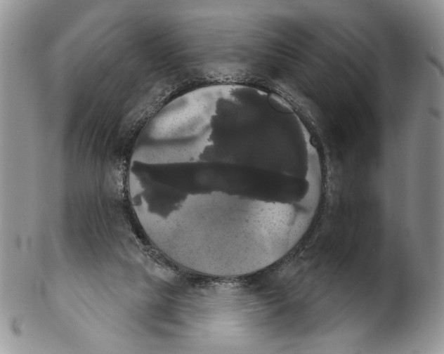 X0000102240065200808221340