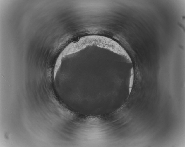 X0000102240066200808221340