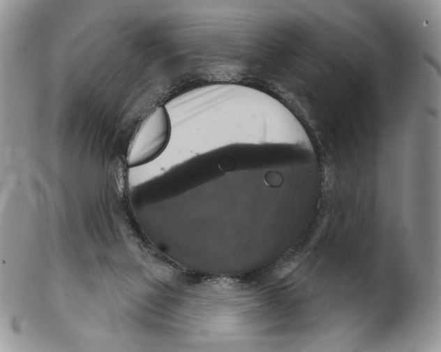 X0000102240069200808221340