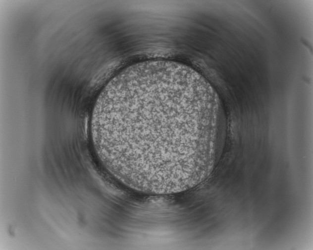 X0000102240070200808221340