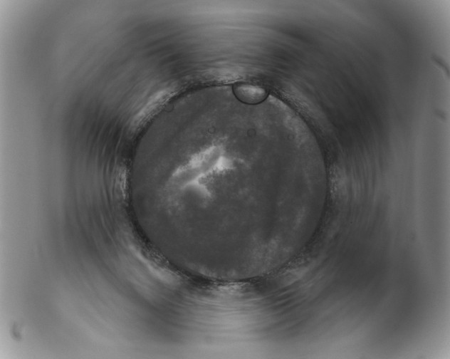 X0000102240072200808221340