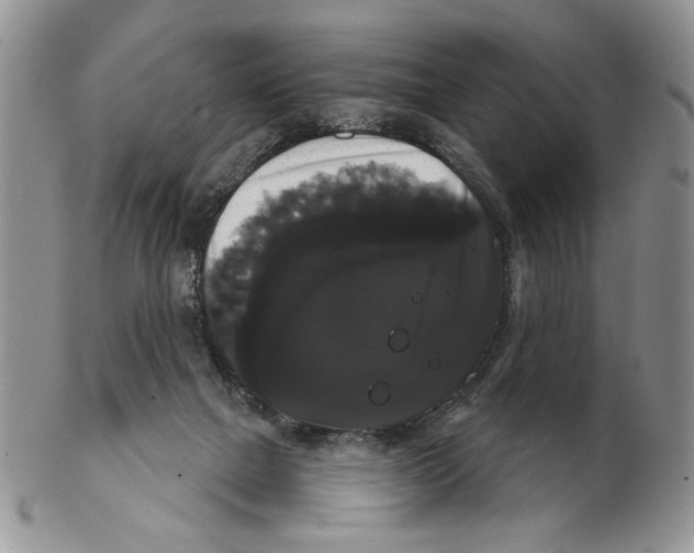 X0000102240073200808221340