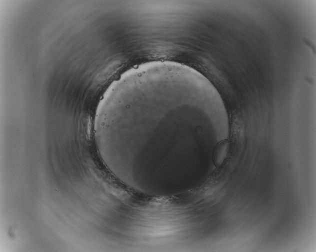 X0000102240076200808221340