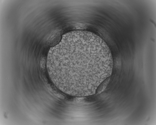 X0000102240078200808221340