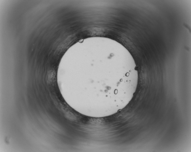 X0000102240079200808221340